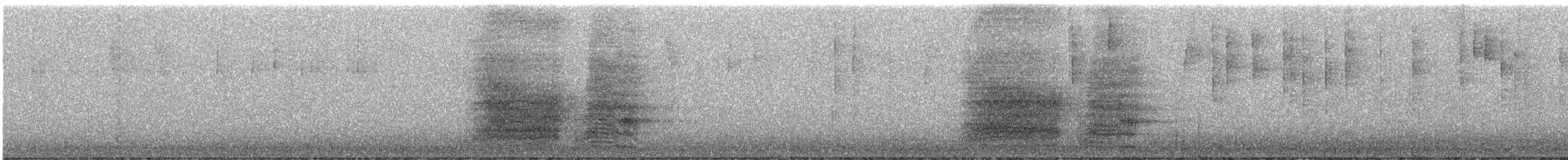 Стеллерова сойка - ML646385972