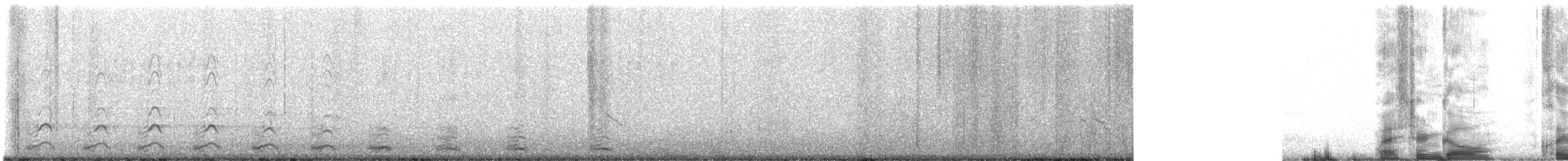 Западная чайка - ML646386056