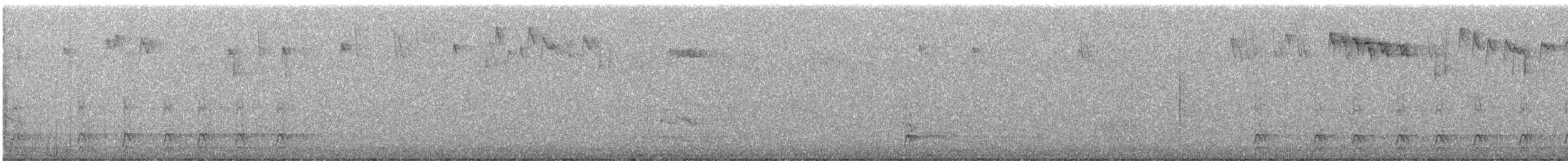 Pileated Woodpecker - ML646386251