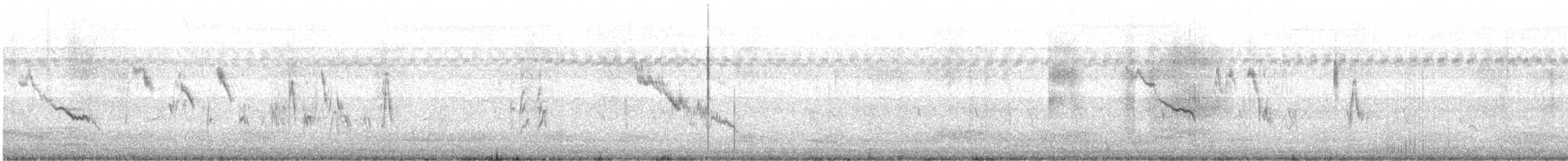 Белобровая трясогузка - ML646386415