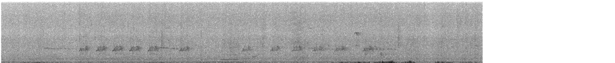 Abejaruco Coliazul - ML646386534