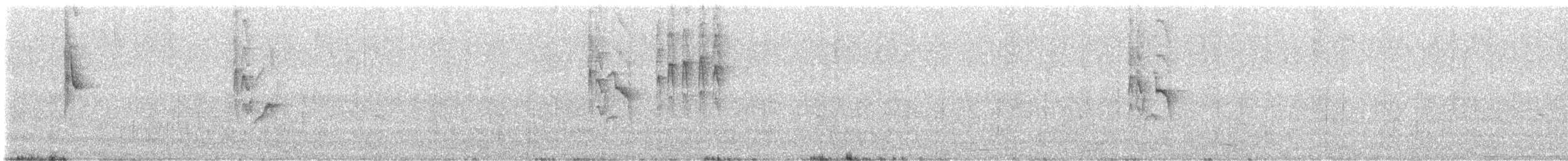 Suimanga Cingalés - ML646386536