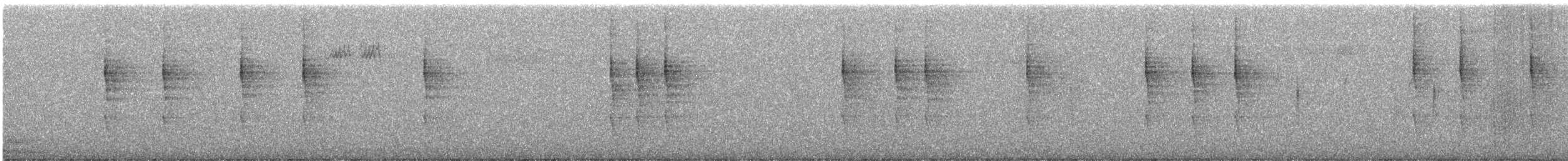 Pacific Wren - ML646386664