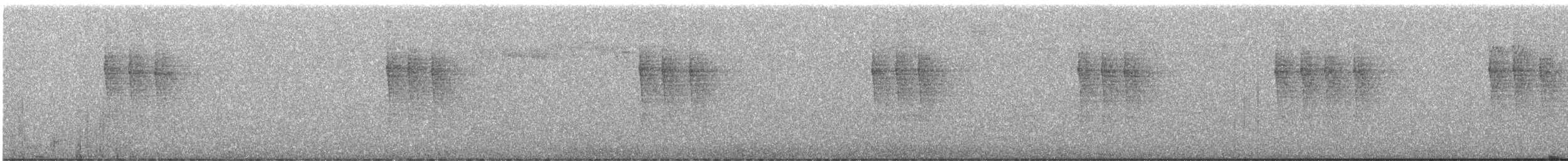 Pacific Wren - ML646386665