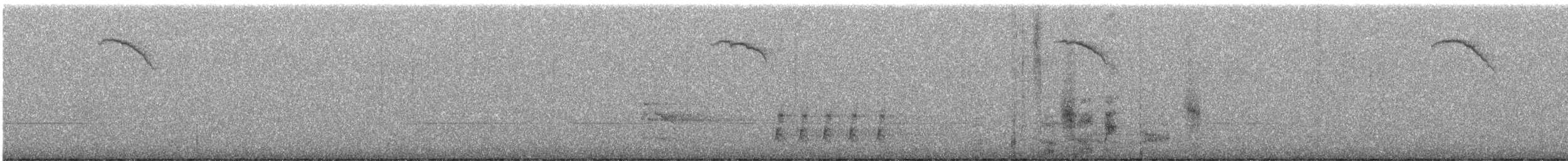 American Robin - ML646386720