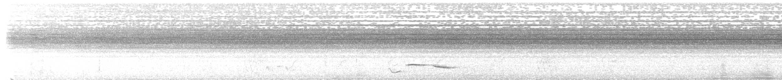 Zorzal Palmero Acollarado - ML646387034