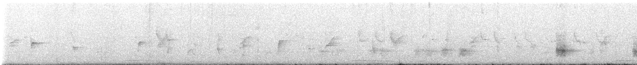 Широкохвістка вохриста - ML646387789