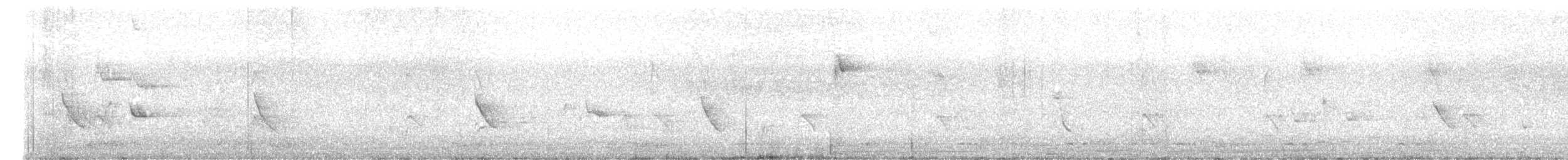 Barbudo Cariblanco - ML646388469