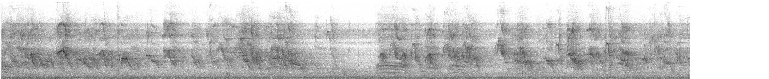 Hartxori tristea - ML646388676