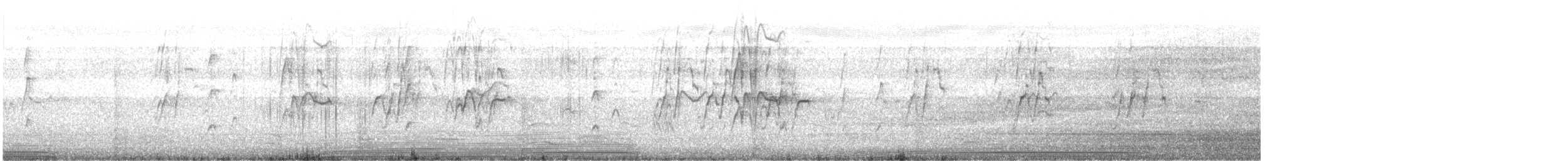 Dendrocygne siffleur - ML646388940
