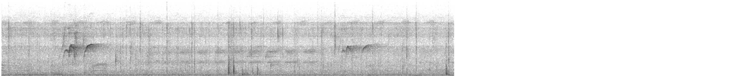 Javapfeifgans - ML646388954