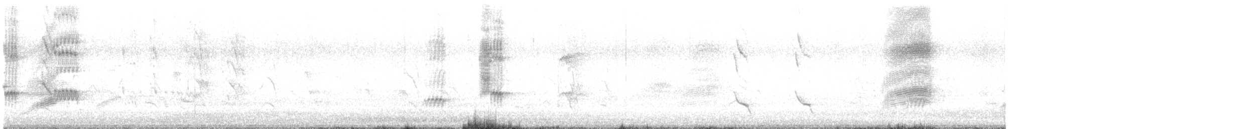 Indian Pied Starling - ML646389036