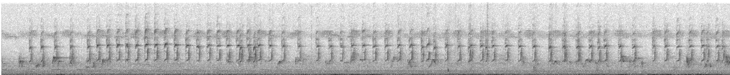 Common Tailorbird - ML646389063