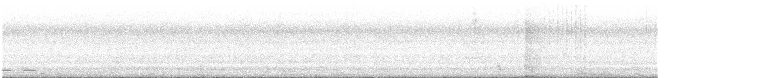 Zebra Dove - ML646389111