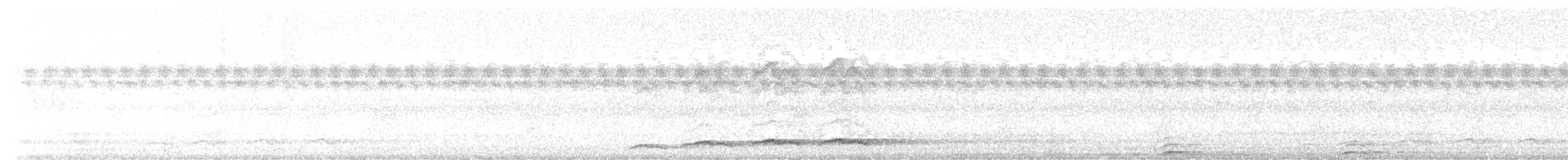 Pacific Koel - ML646389113