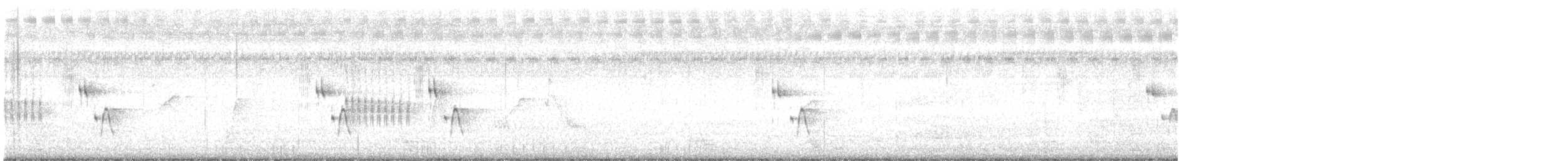 Ashy Tailorbird - ML646389248