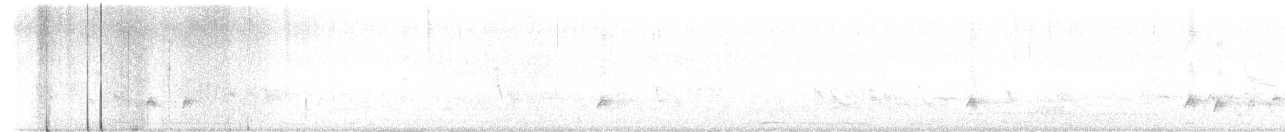 Eastern Spot-billed Duck - ML646389261