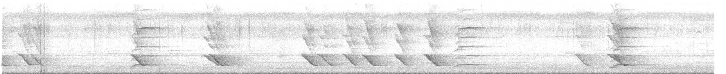 黑天鵝 - ML646389358