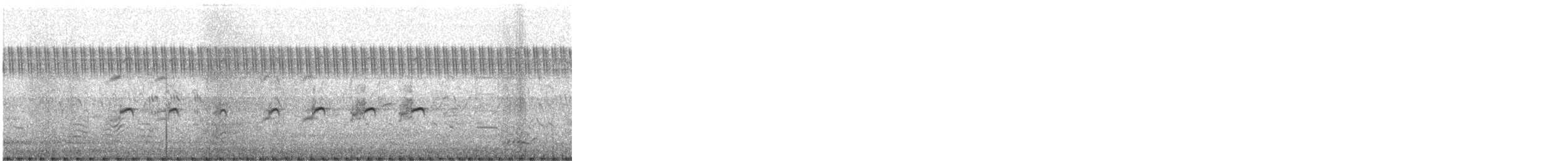 Bronze-winged Jacana - ML646389386