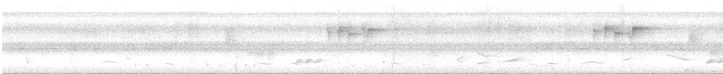 Greater Racket-tailed Drongo - ML646389451