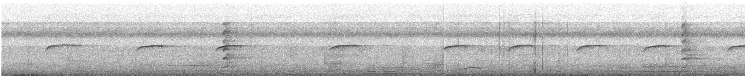 磯鷸 - ML646389518