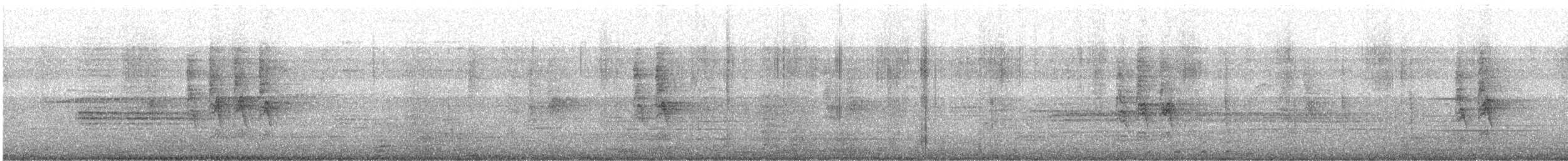 House Sparrow - ML646390168