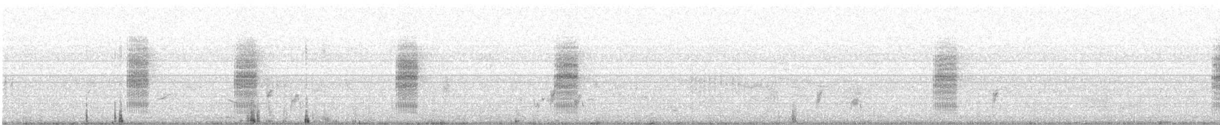 Long-tailed Shrike - ML646390493