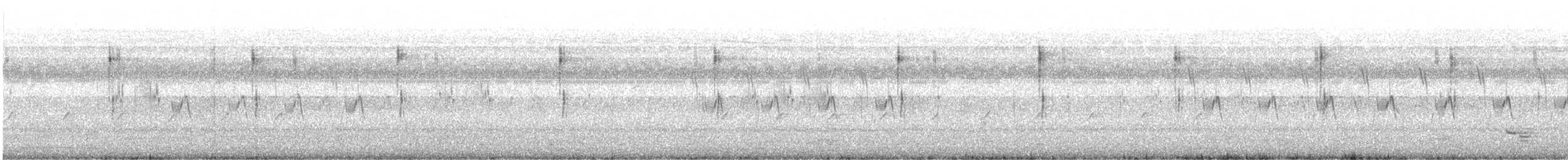 Zitting Cisticola - ML646390652