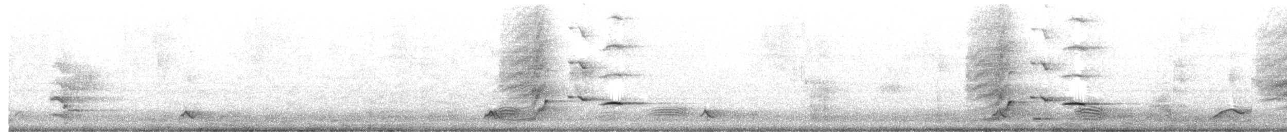 Pied Butcherbird - ML646390709