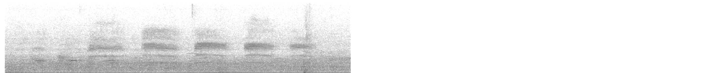 Silver Gull - ML646390755