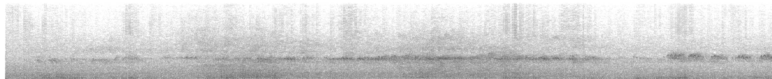 Greater Sand-Plover - ML646390791