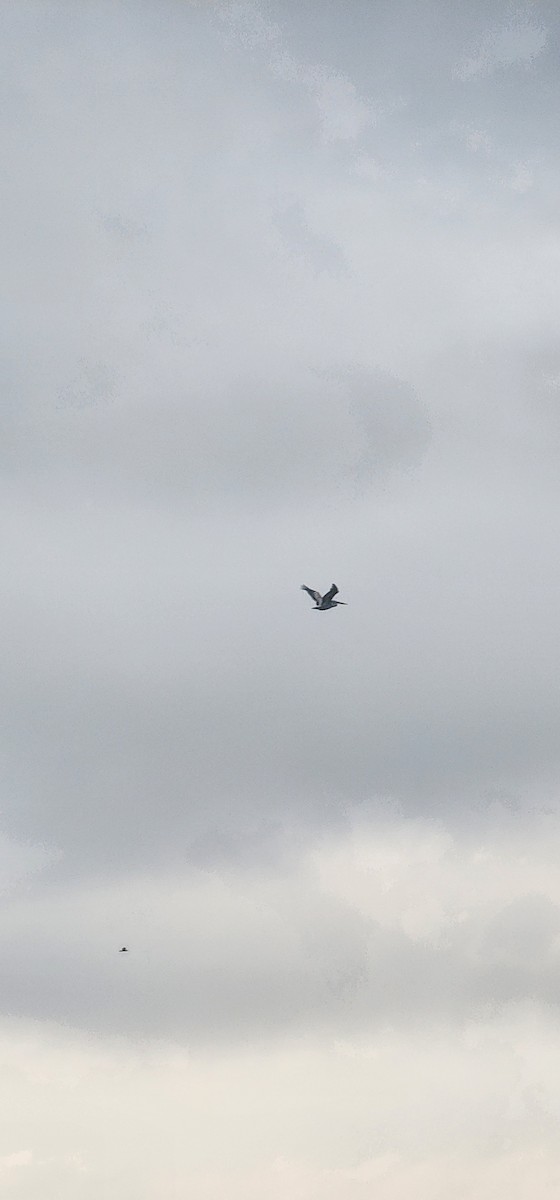 Борцгор хотон - ML646391175