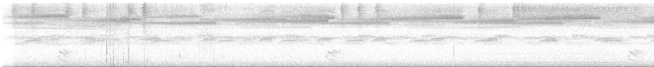 Australian Owlet-nightjar - ML646391251