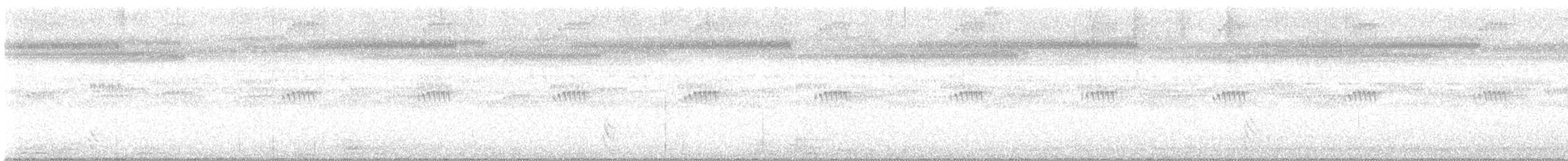 Australian Owlet-nightjar - ML646391272