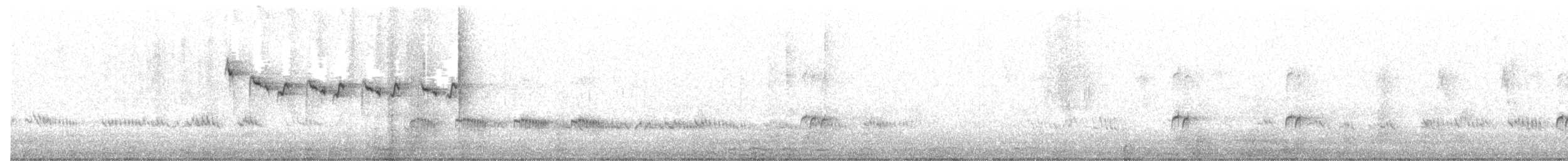 Red-headed Myzomela - ML646391623