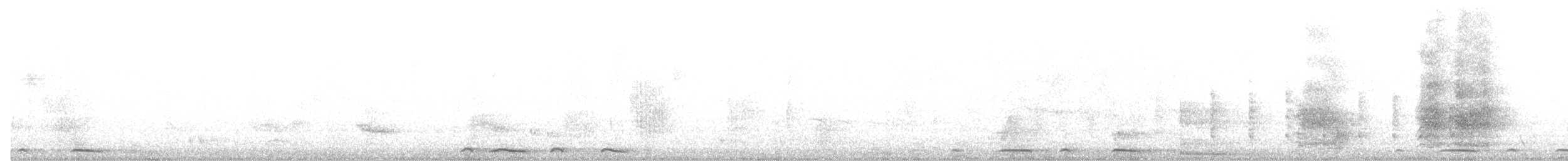 Bar-shouldered Dove - ML646391696