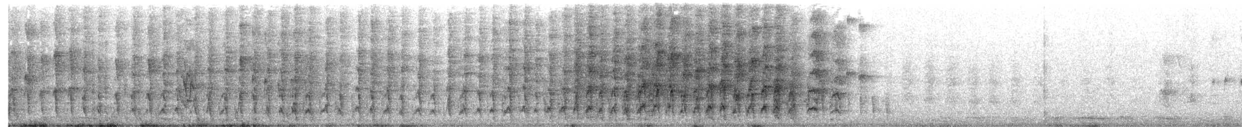 Red-winged Parrot - ML646391699