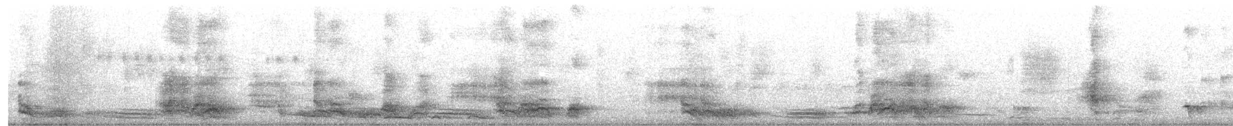 Little Friarbird - ML646391703