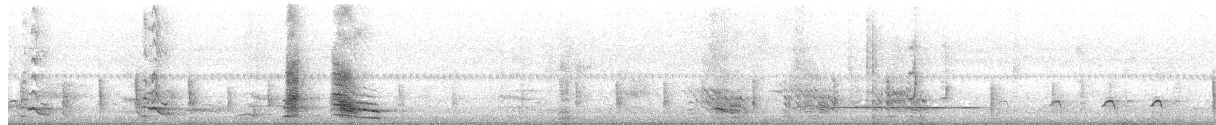 Little Friarbird - ML646391704