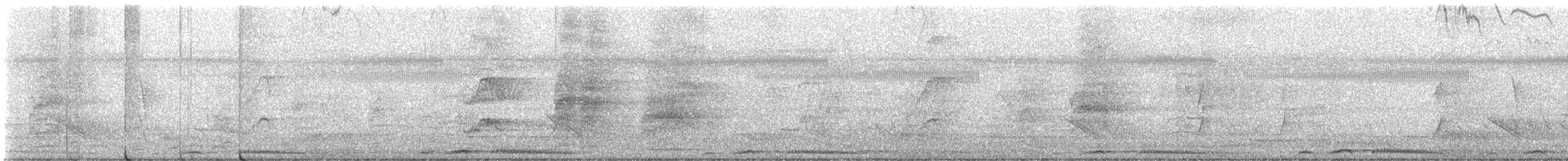 Spotted Dove (Eastern) - ML646391751