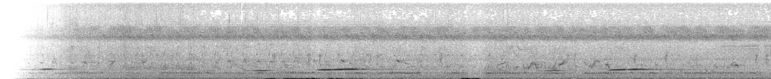 クロカッコウ - ML646392036