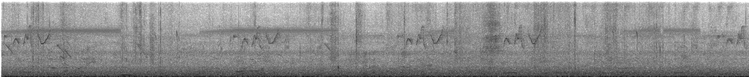 Gray-hooded Warbler - ML646392209