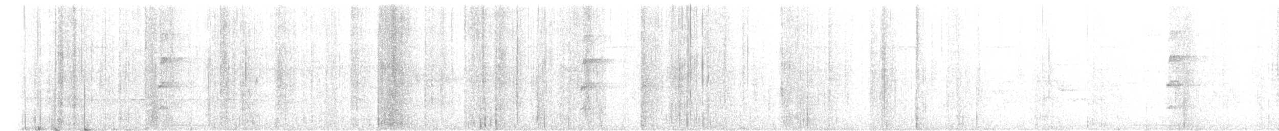 White-bellied Tody-Tyrant - ML646392247