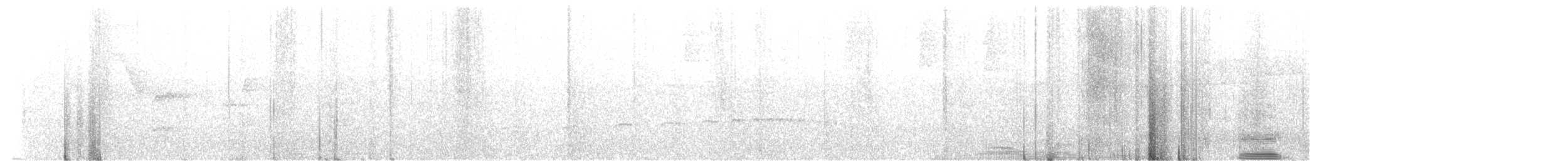 White-bellied Tody-Tyrant - ML646392248