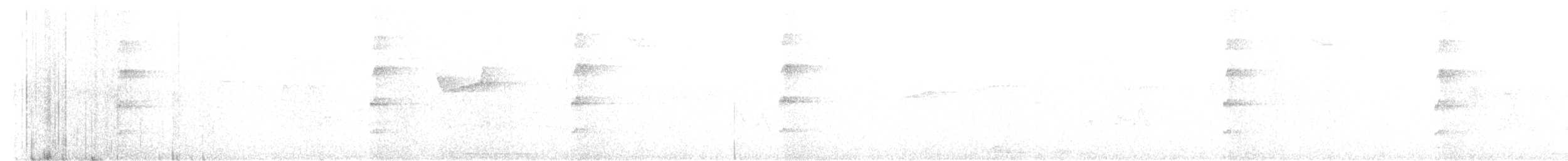 White-bellied Tody-Tyrant - ML646392249