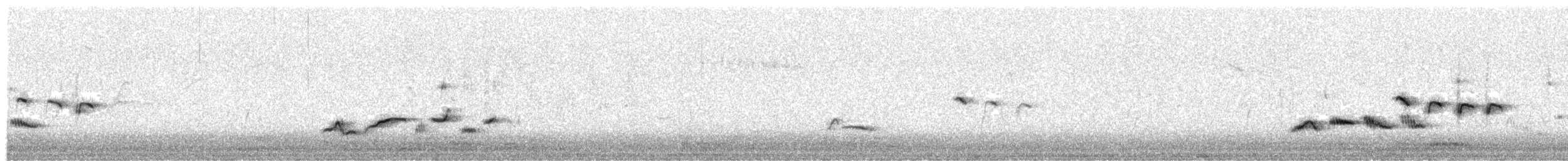 drozd brávník - ML646392368