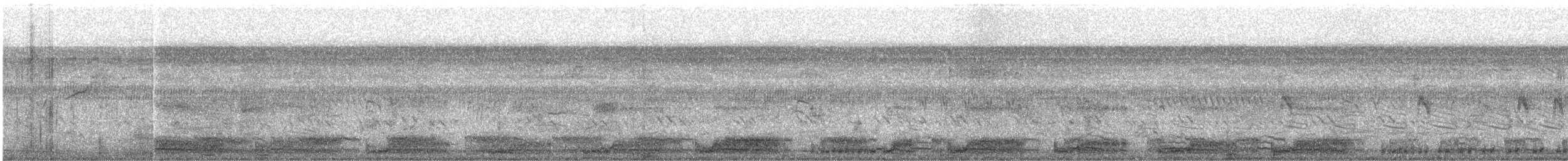 White-breasted Waterhen - ML646392380