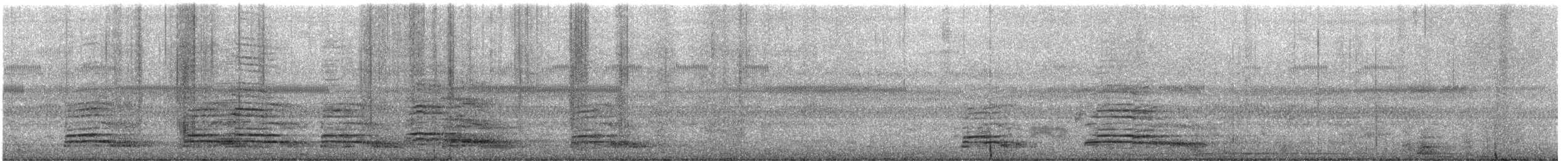 Red-naped Ibis - ML646392417