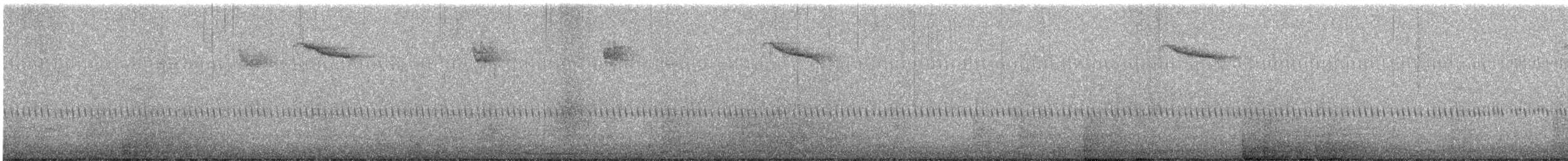 brkoslav americký - ML646392439