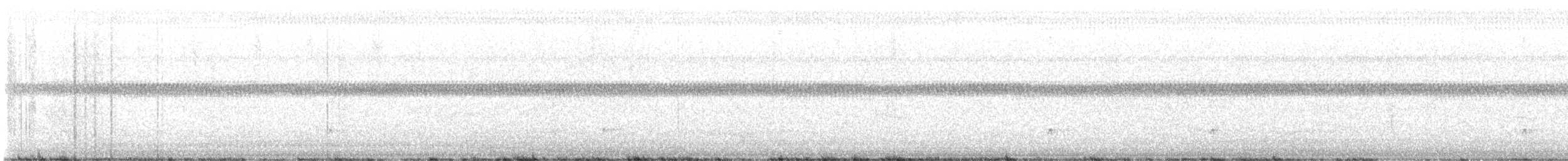 Chingolo Coroniblanco - ML646392579